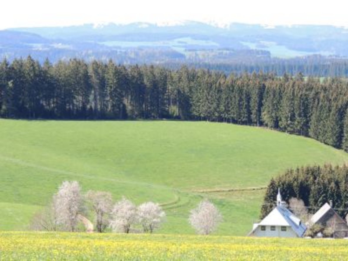 Landschaft