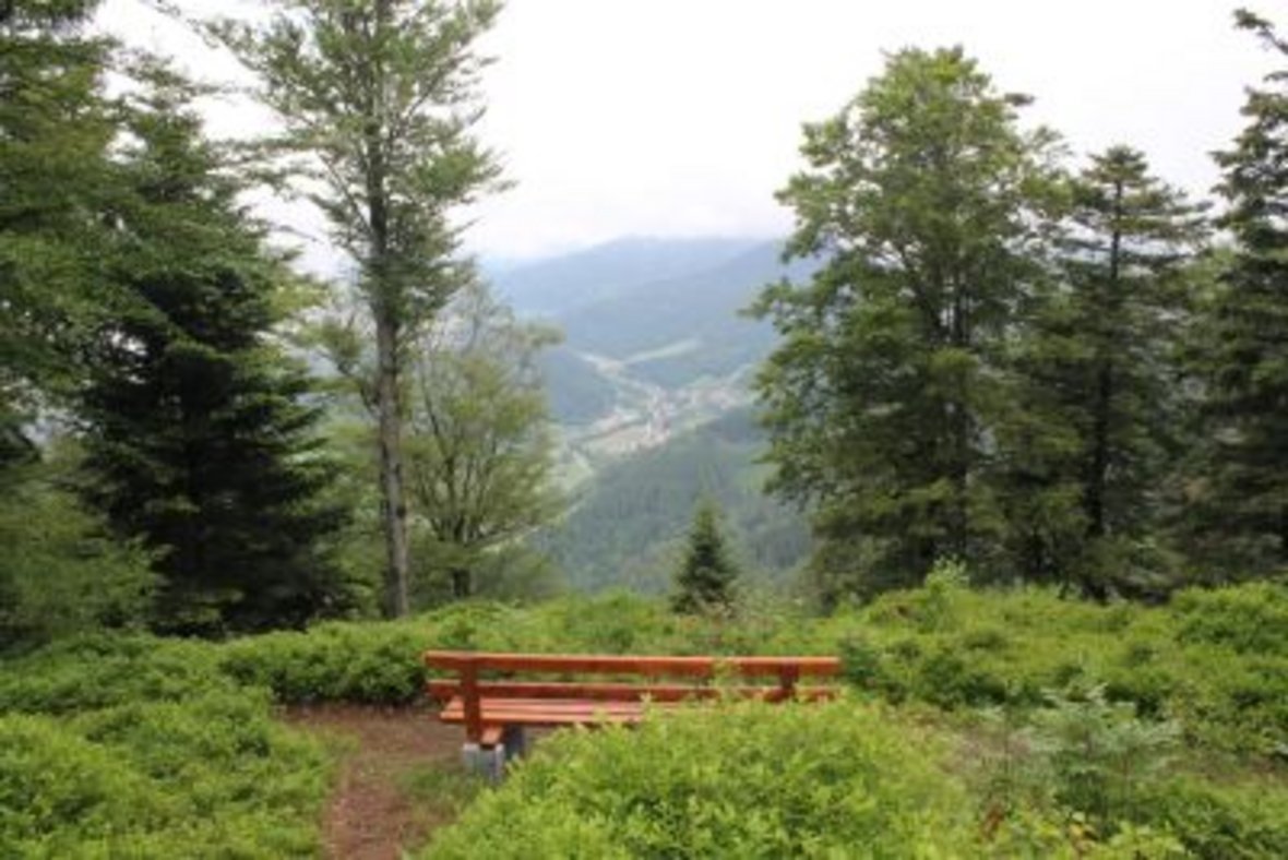 Blick ins Tal